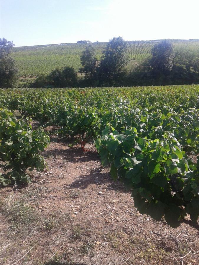 La Maison Des Vignes Charentay Екстер'єр фото