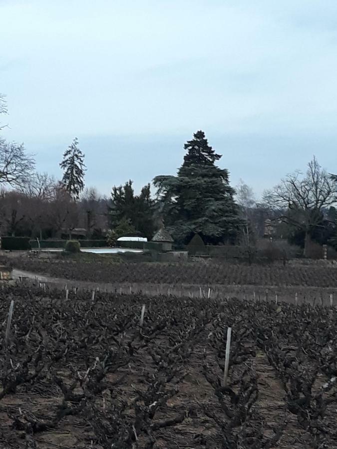 La Maison Des Vignes Charentay Екстер'єр фото